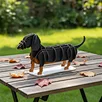 3D Dachshund Creative Dog Cardboard Puzzle Model- Pet Animal DIY Building Arts and Craft Kit for Stationery Gift Toys Shop